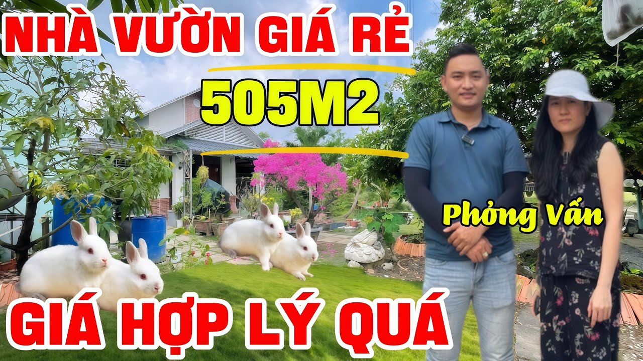 Tập 299 Không Xem Là Hơi Phí Nhà Vườn Về Q8 | Giá Rẻ 2 Tỷ 890 | Giá Này Hợp Lý Mua Nhanh Còn Kịp !!!