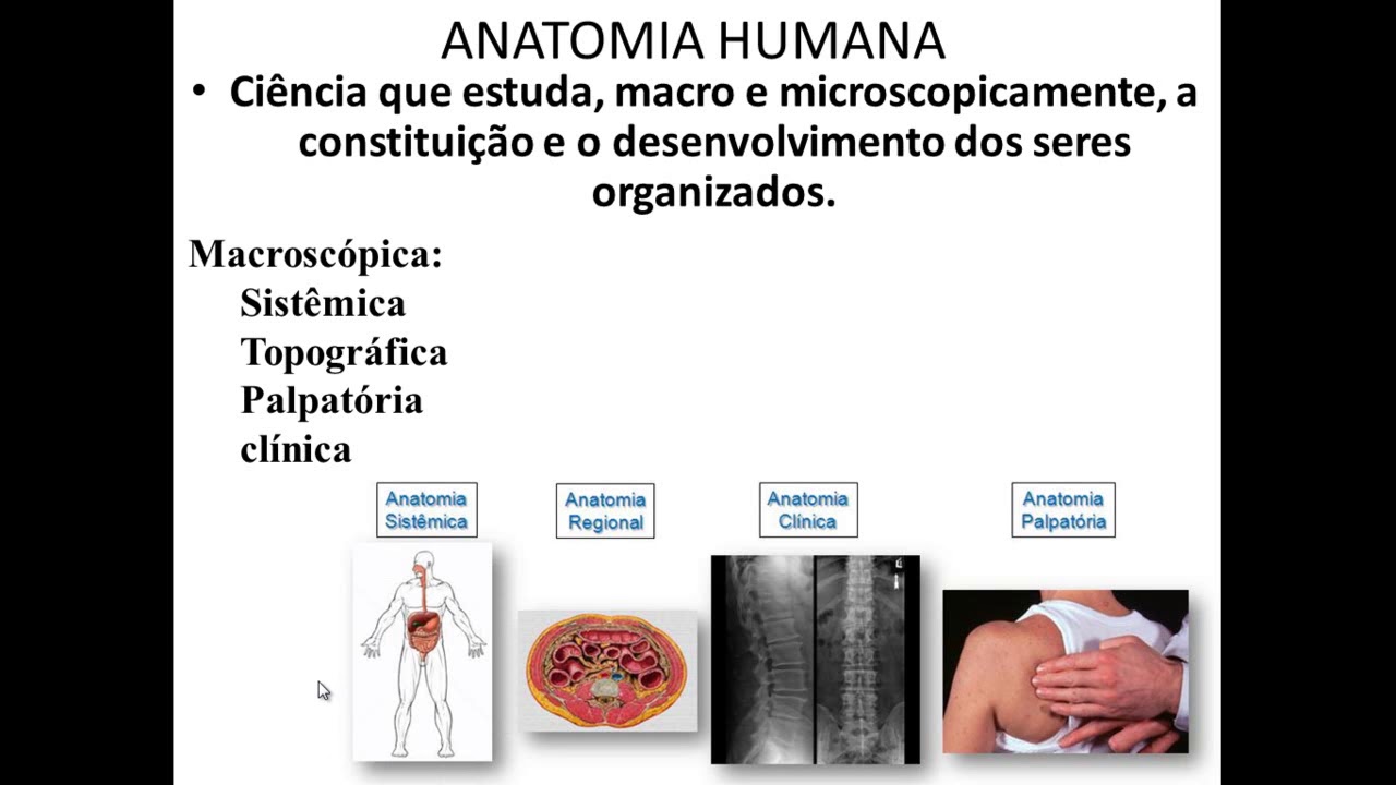 INTRODUÇÃO À ANATOMIA HUMANA