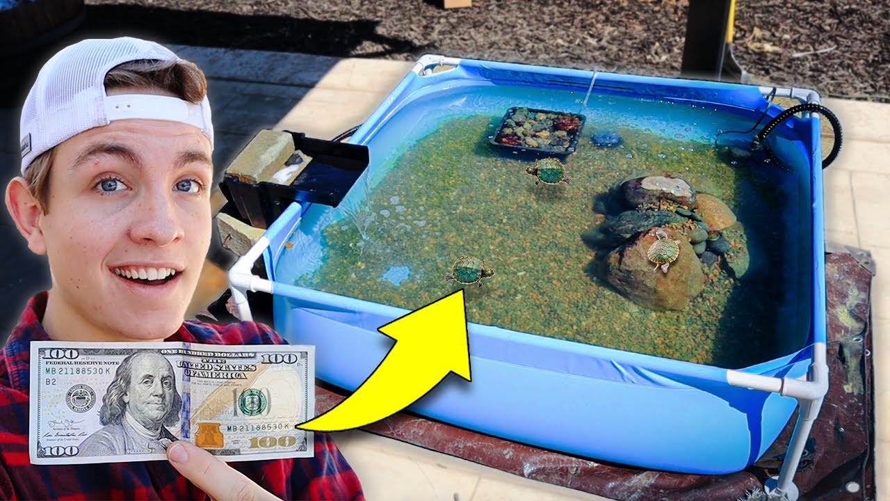 Building a $100 BUDGET BackYard Pond!