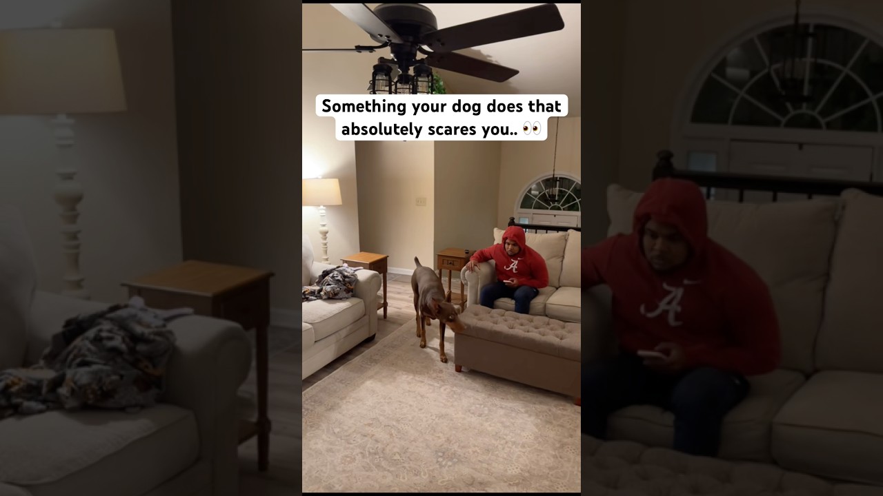 What the dog doin??💀👀 