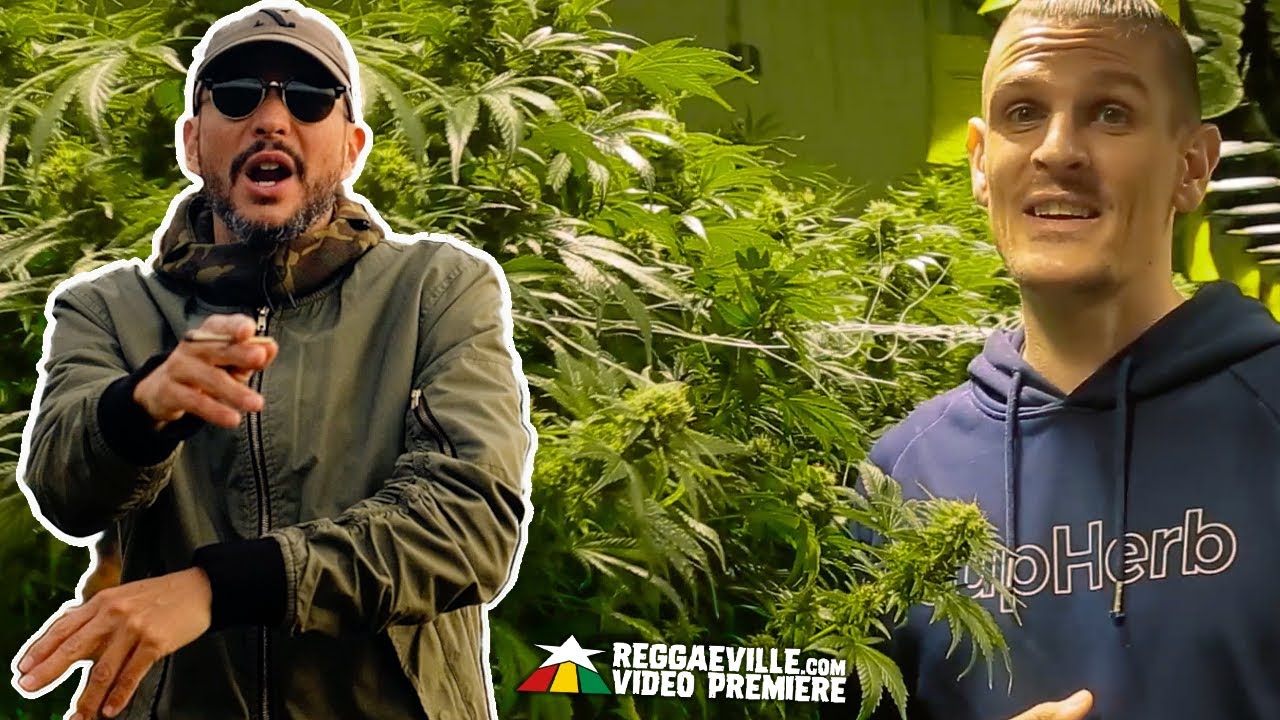 REKALL feat. Million Stylez - Ganja Love (Remix) [Official Video 2020]