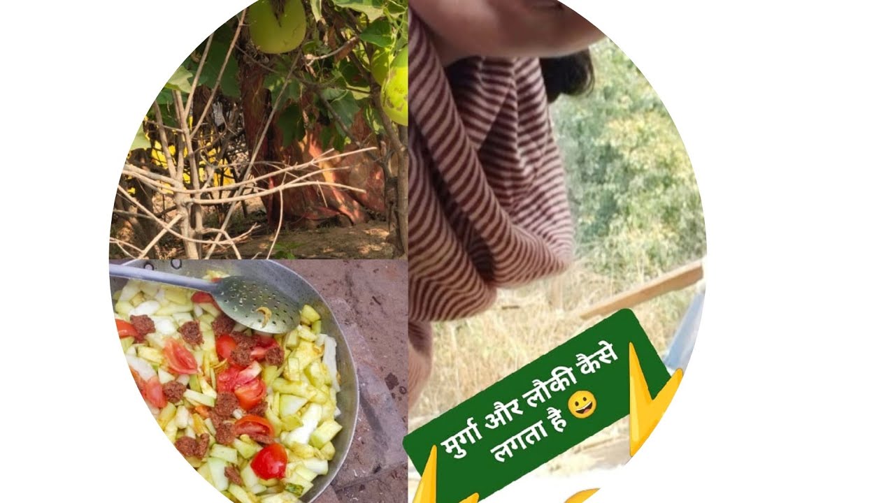   💫⚡जंगल में आज कुछ अलग करने का मन#💥dekhte देखते रहें क्या होता है💥#
