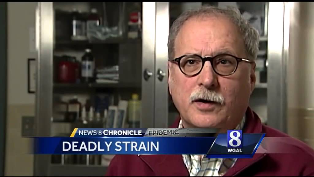 Chronicle: Heroin Epidemic