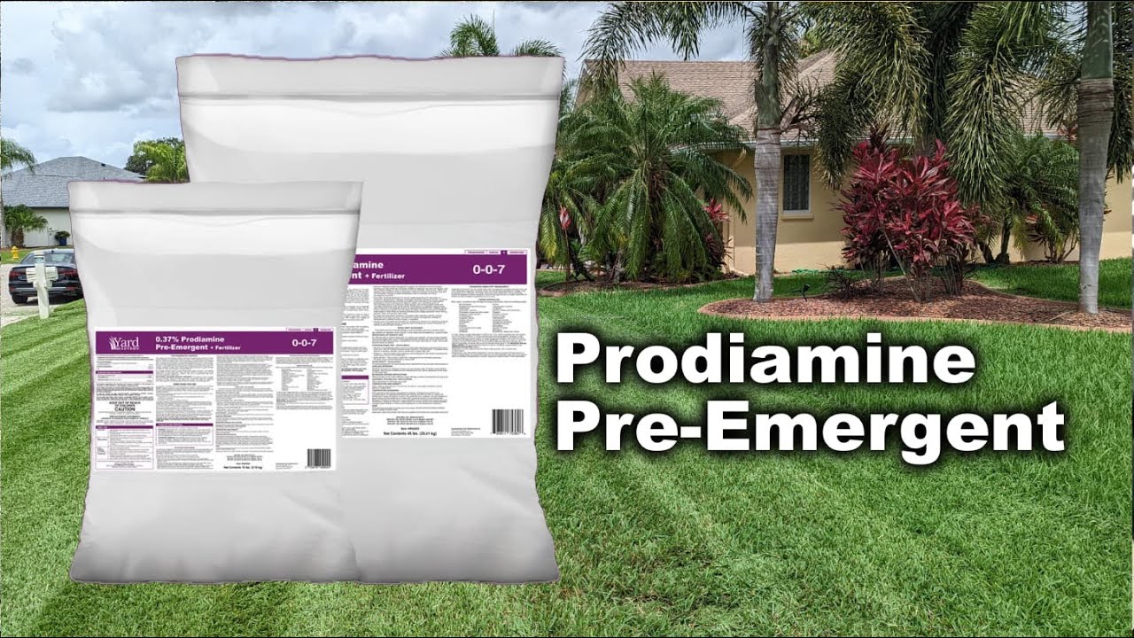 Prodiamine Pre-Emergent Now Available In Smaller Bag Option