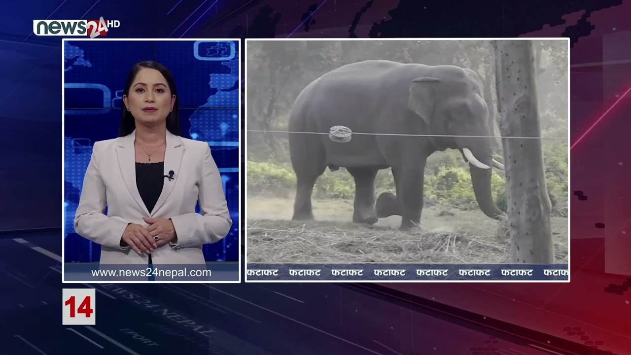 EVENING NEWS FATAFAT - NEWS24 TV