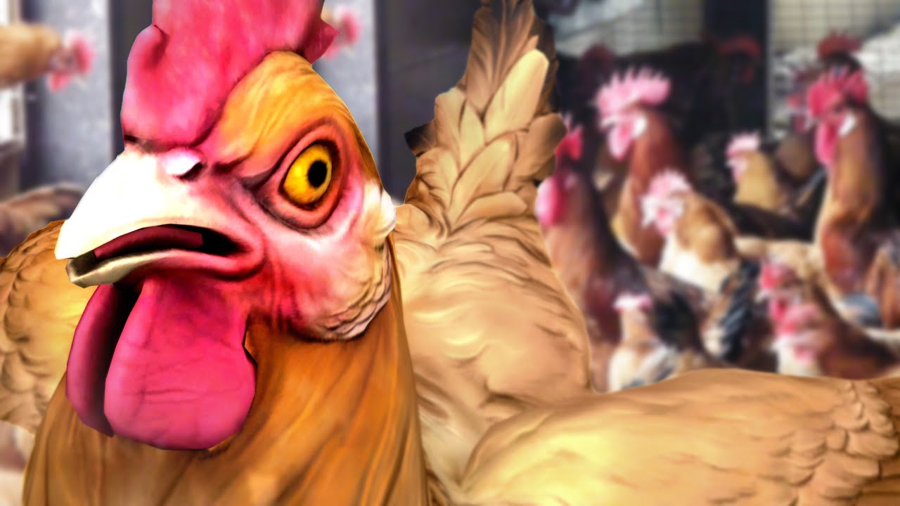 NEXT GEN CHICKENS