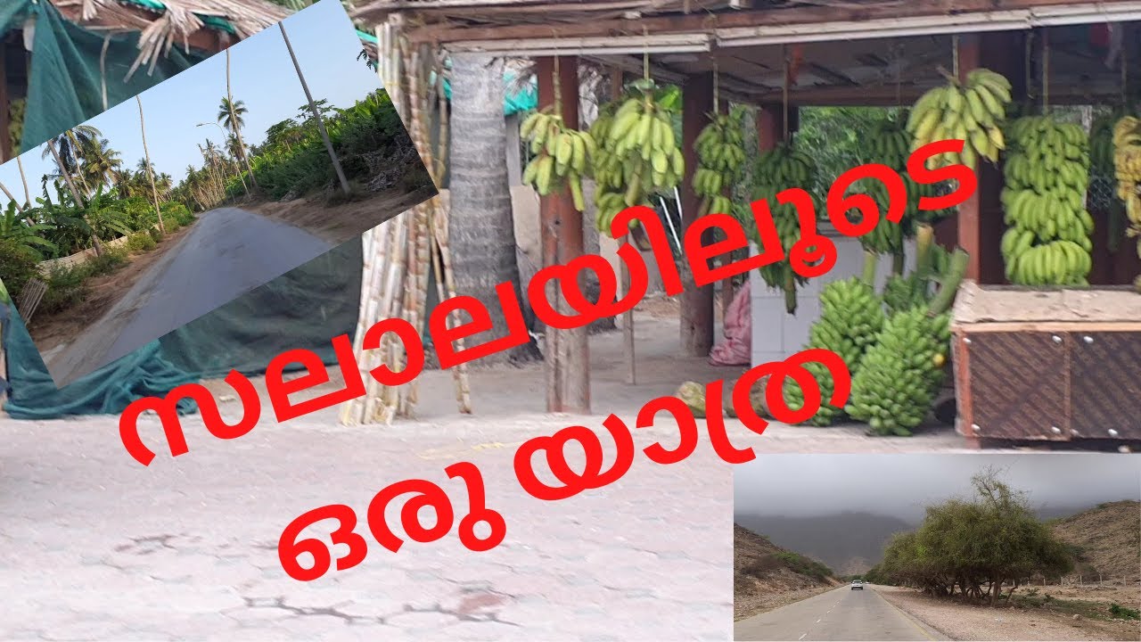 സലാലയിലുടെ ഒരു യാത്ര | Going for a trip to salalah | R TALKS BY ARFAN