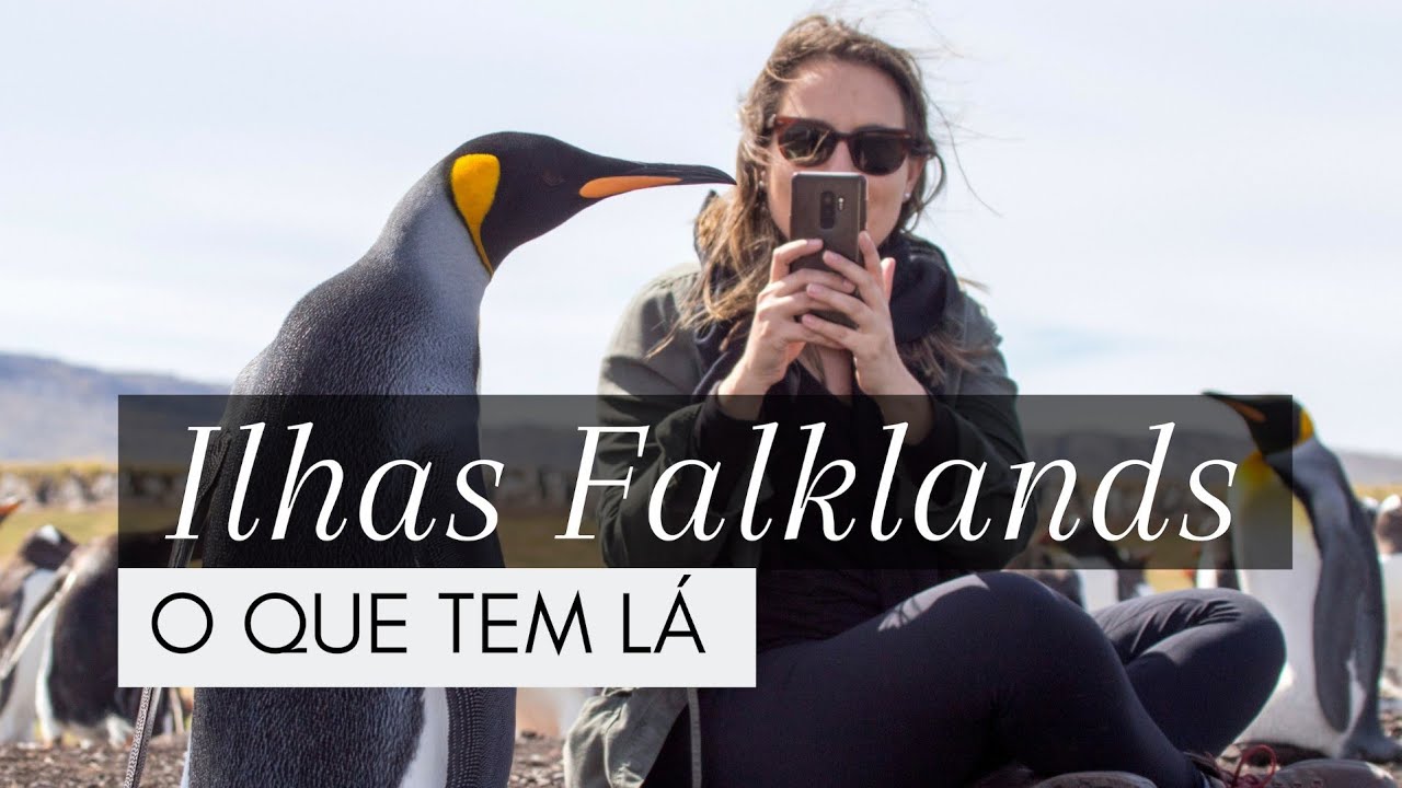 FALKLANDS | O QUE TEM LÁ (além dos pinguins lindos) | EP 1 | amanda noventa