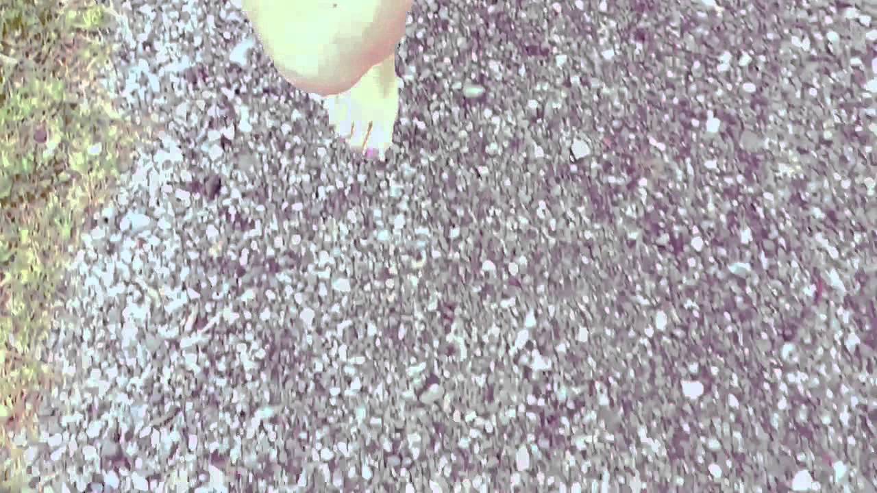 Barefoot Gravel Run 'In Blue'