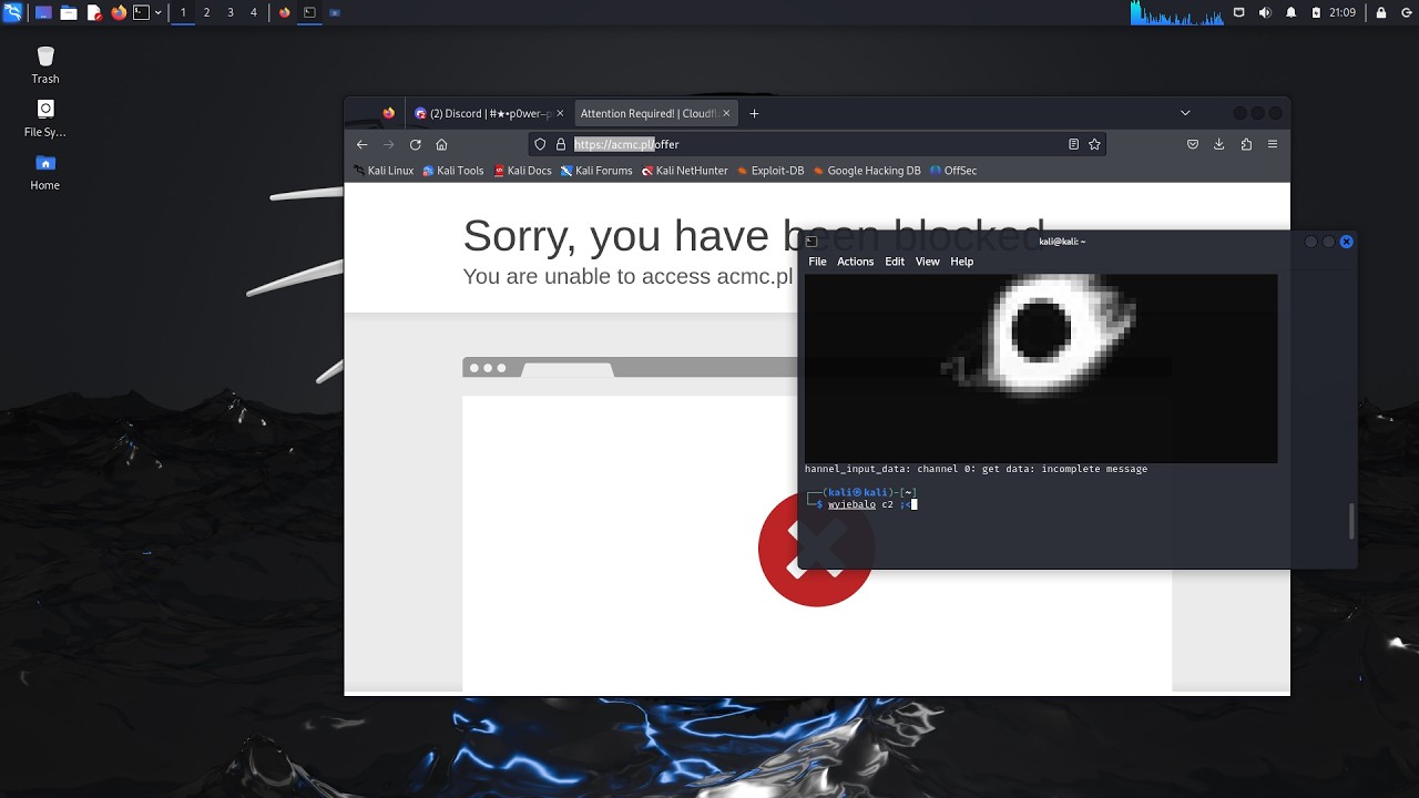STAR NETWORK | C2 SHOWCASE | BEST BOTNET / CHEAP PLANS! 😎