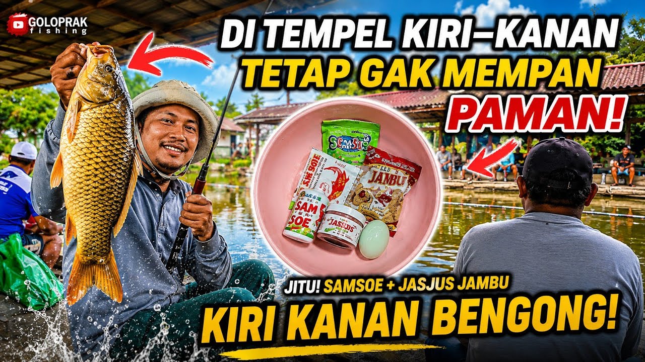 Umpan ikan mas paling jitu bikin tetangga bengong nontonin narik ikan