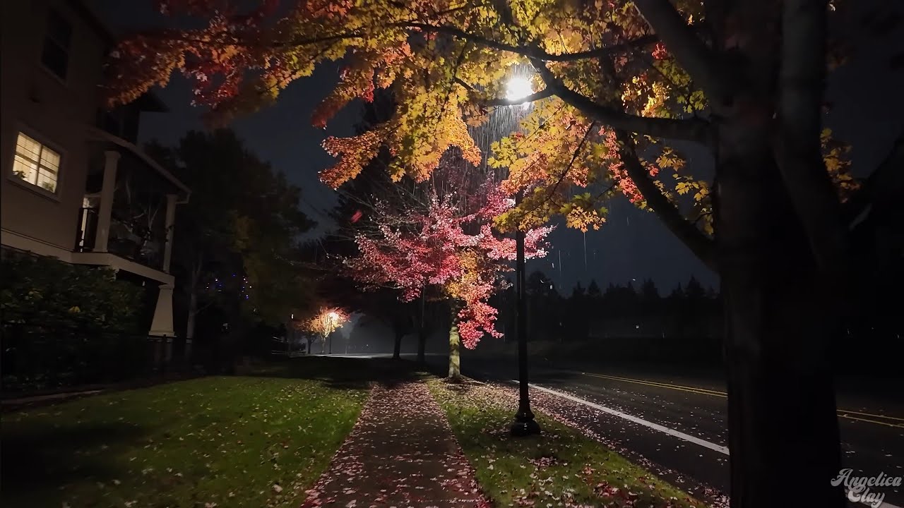 Rainy Autumn Night Walk in Hillsboro, Oregon Neighborhood