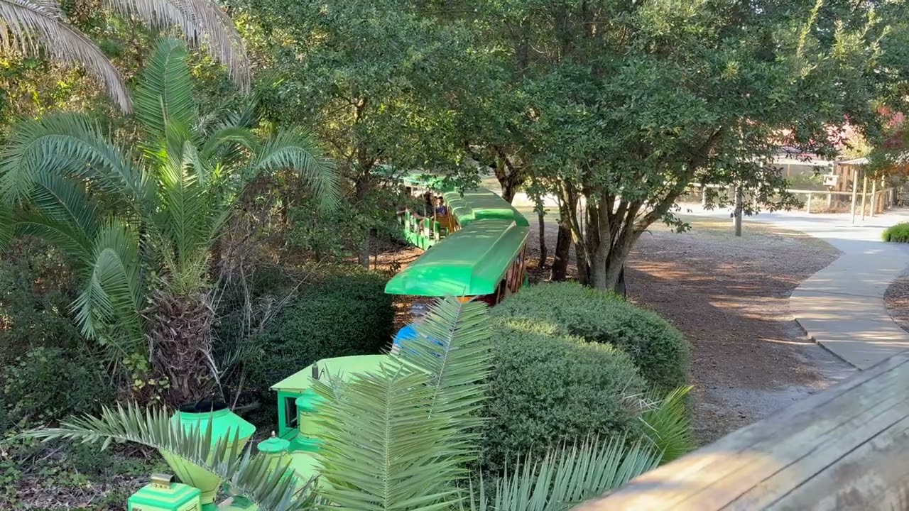 N8N Awesome Ambient Window: Gulf Breeze Zoo Train (5 Minutes)