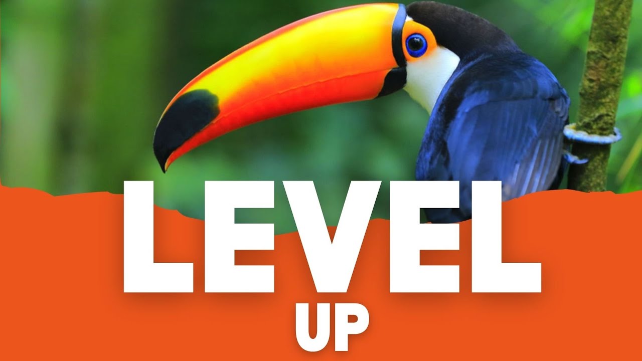 Stop Shrinking — It’s Time to Level Up Your Life