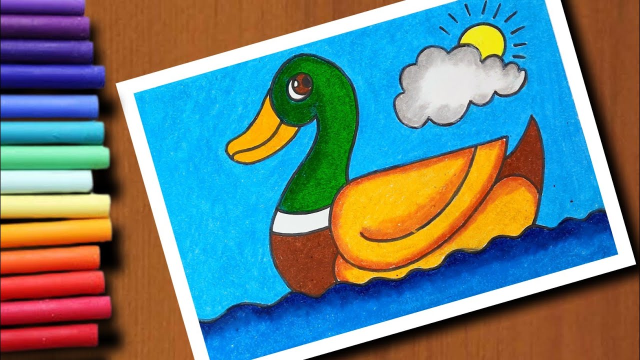 How to Draw a Mallard Duck | step by step with colour for beginners