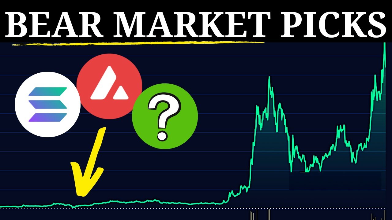 Top 3 Altcoins To Buy During The Bear Market!