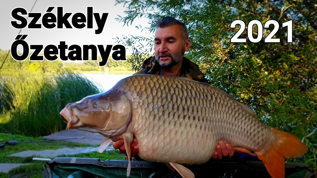 Székely Őzetanya Bojlis tó