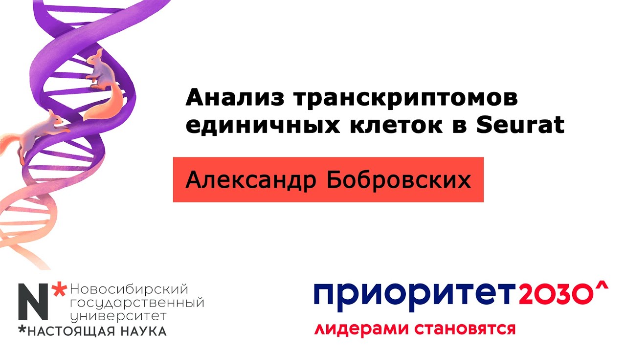 Анализ транскриптомов единичных клеток в Seurat // Александр Бобровских, НГУ