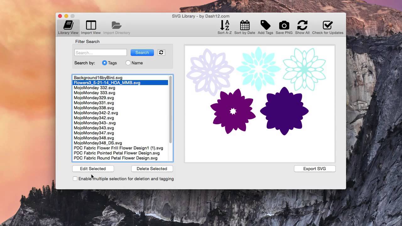 Edit Window - Overview for SVG Library