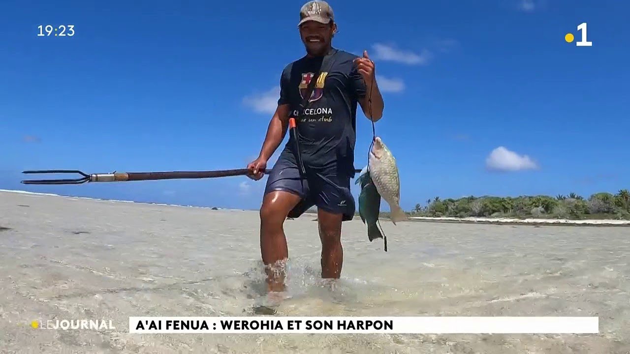A'ai Fenua : Werohia et son Harpon