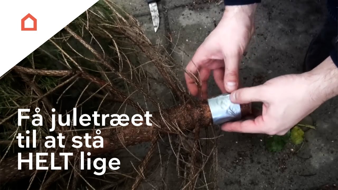 Sådan får du dit juletræ til at stå lige