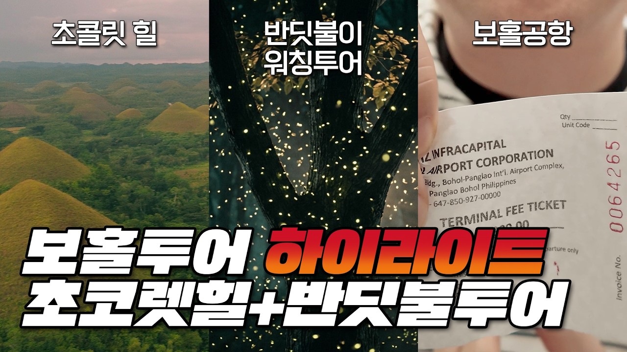 【출장 브이-로그 EP3】 🇵🇭 #필리핀 #보홀 Part 10 초콜릿 힐, 반딧불이 데이투어를 가봤습니다!