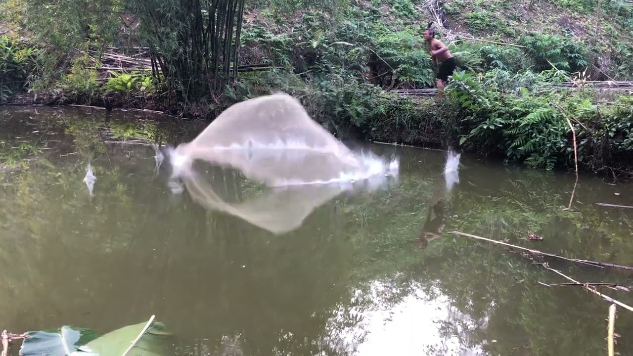 Quăng chài
