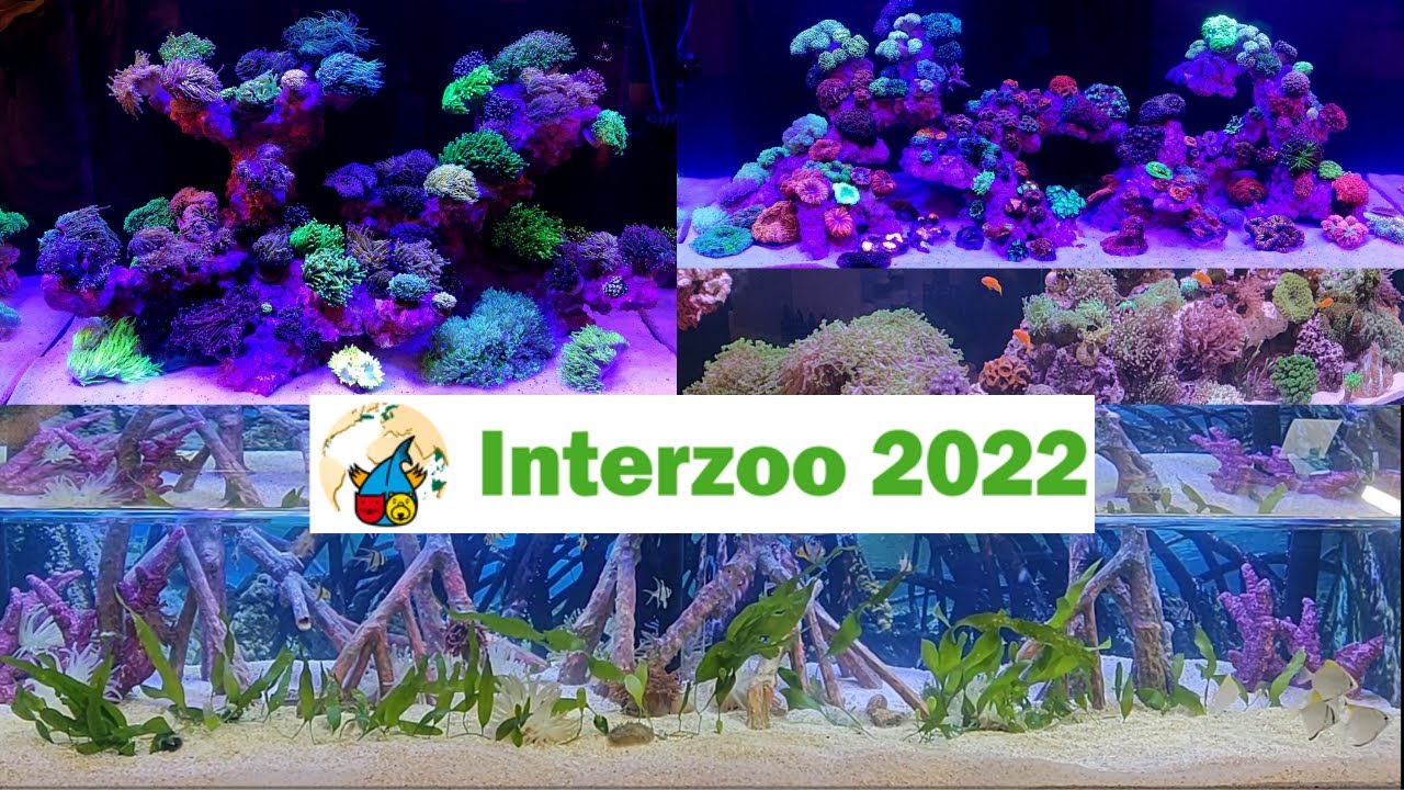 Akwaria morskie na targach Interzoo 2022 🏢🚚
