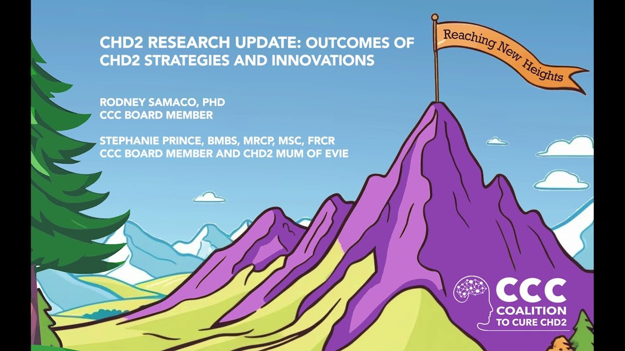 Outcomes of CHD2 Strategies and Innovations Workshop