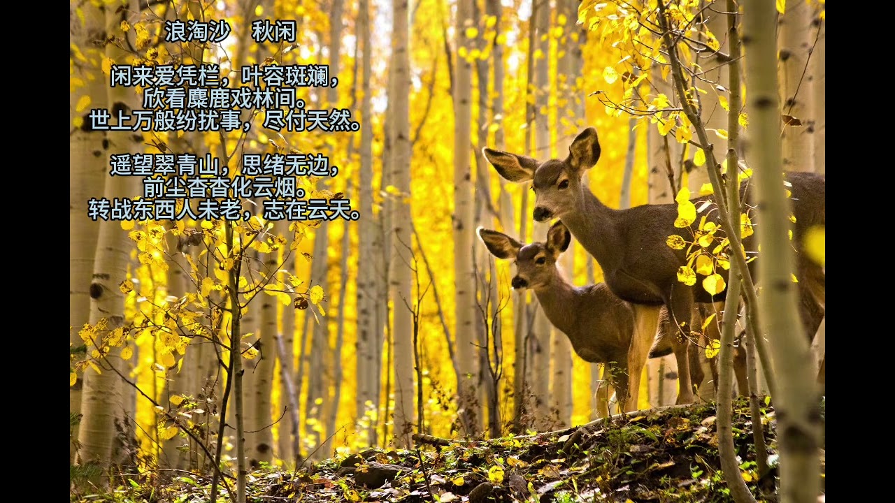 秋闲爱凭栏
