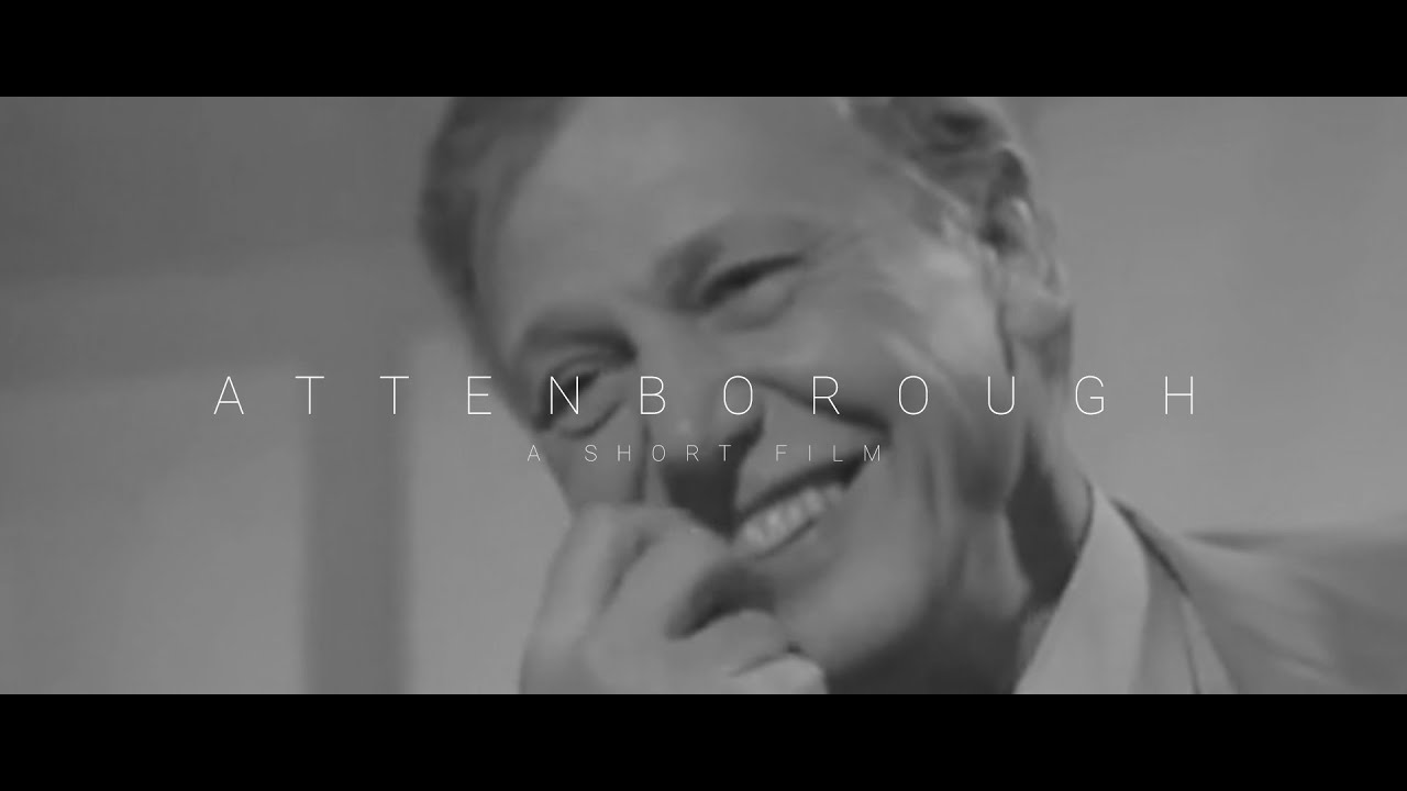 ATTENBOROUGH - A Tribute to David Attenborough