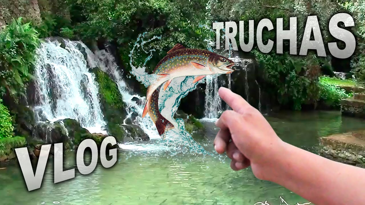 VISITÉ el PARAÍSO de la TRUCHA en INGENIO con mi MADRE | VLOG 2023