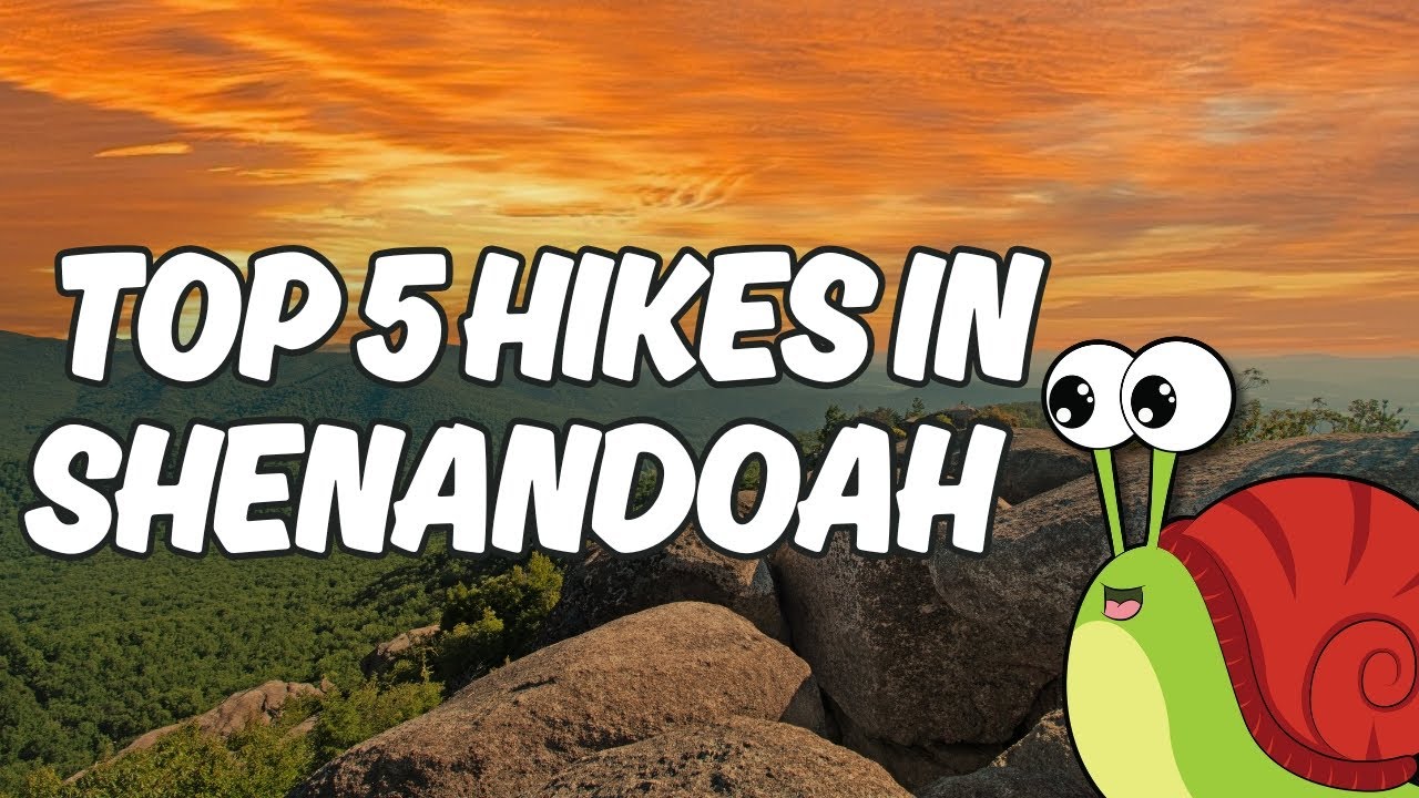 Top 5 Hikes in Shenandoah National Park
