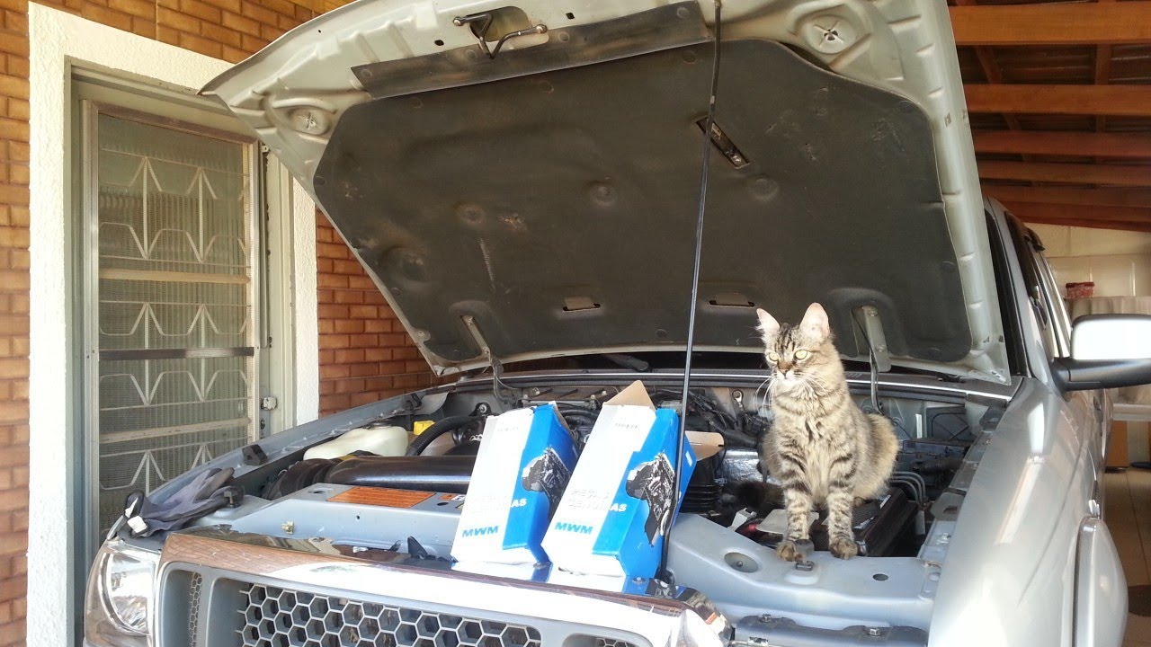 Troca da bomba d´agua e termostato - Ranger 3.0 (+ bônus: limpeza do intercooler)