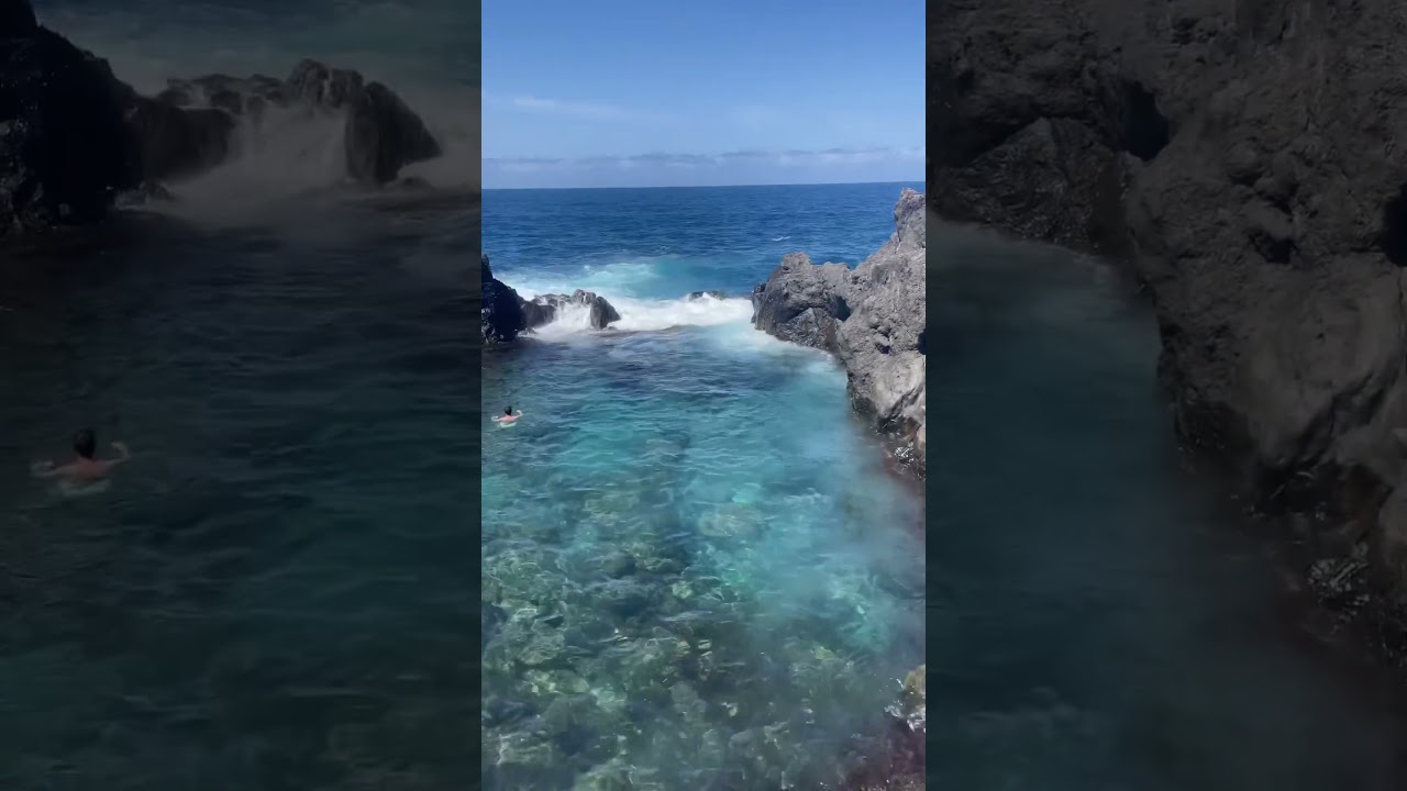 Cette piscine naturelle est juste incroyable 😍 #naturalpool