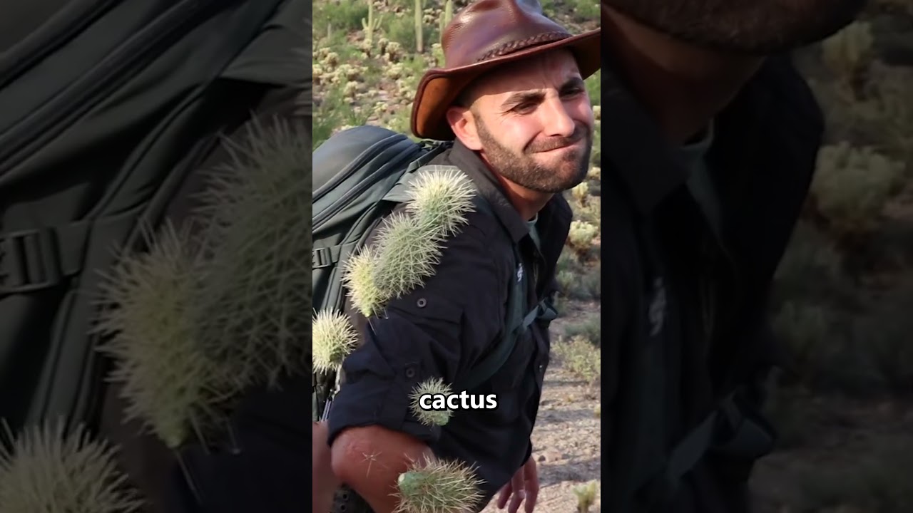 C&oacute;mo quitarse las ESPINAS de un cactus 👏