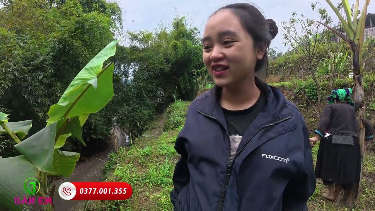 Một Ngày Em Tươi Cùng Mẹ Đi Trồng Chuối Và Lên Nương Lấy Sắn 