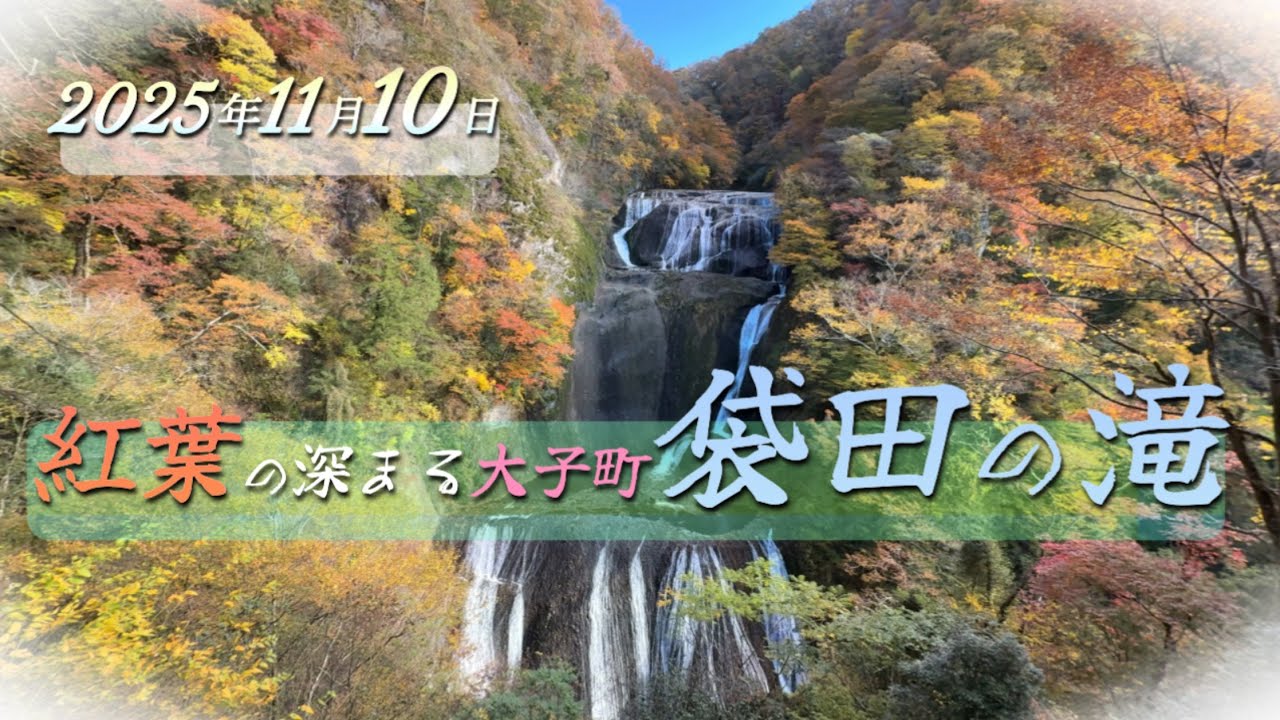 紅葉の深まる大子町袋田の滝（2025年11月10日）