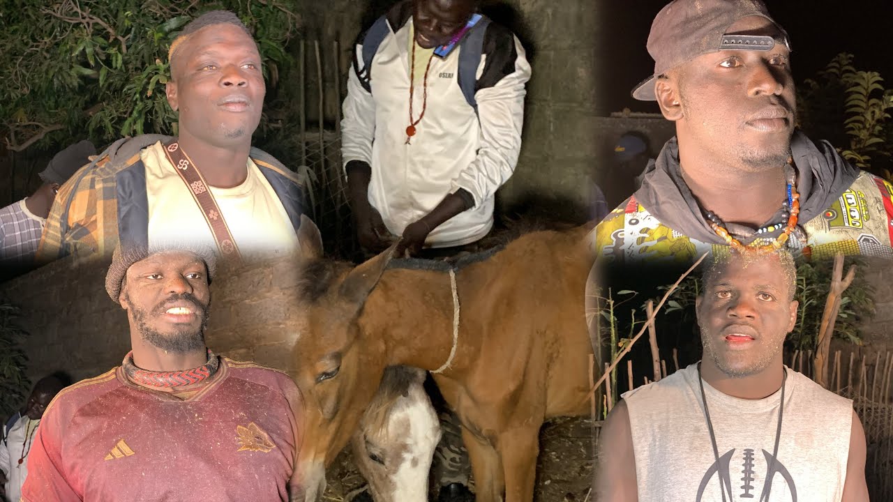 Paragr chevaux BABOU SARR,DJIDIACK DJILASS,EL PITHIE,MBAYE DIOP,,ZAMBALA a simal le 26 janvier 