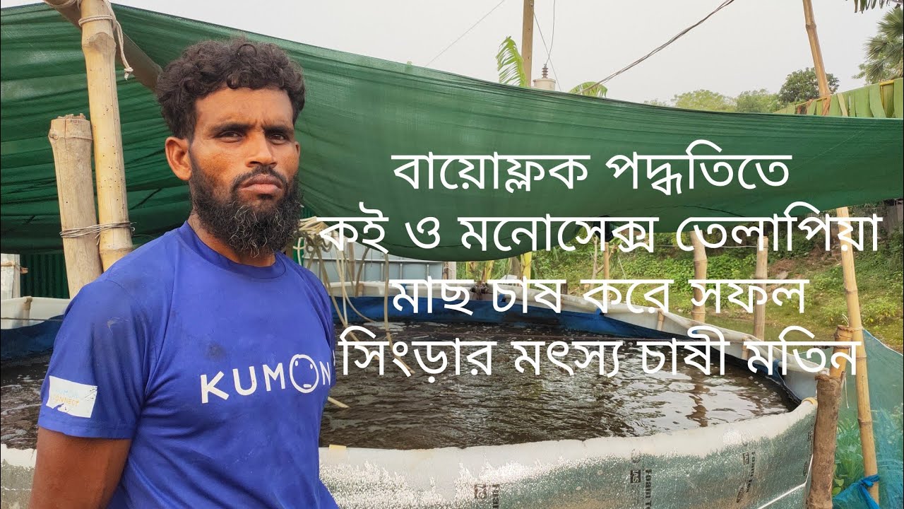 বায়োফ্লক পদ্ধতিতে কই ও মনোসেক্স তেলাপিয়া মাছ চাষ করে সফল সিংড়ার মৎস্য চাষী মতিন |  bio flock culture