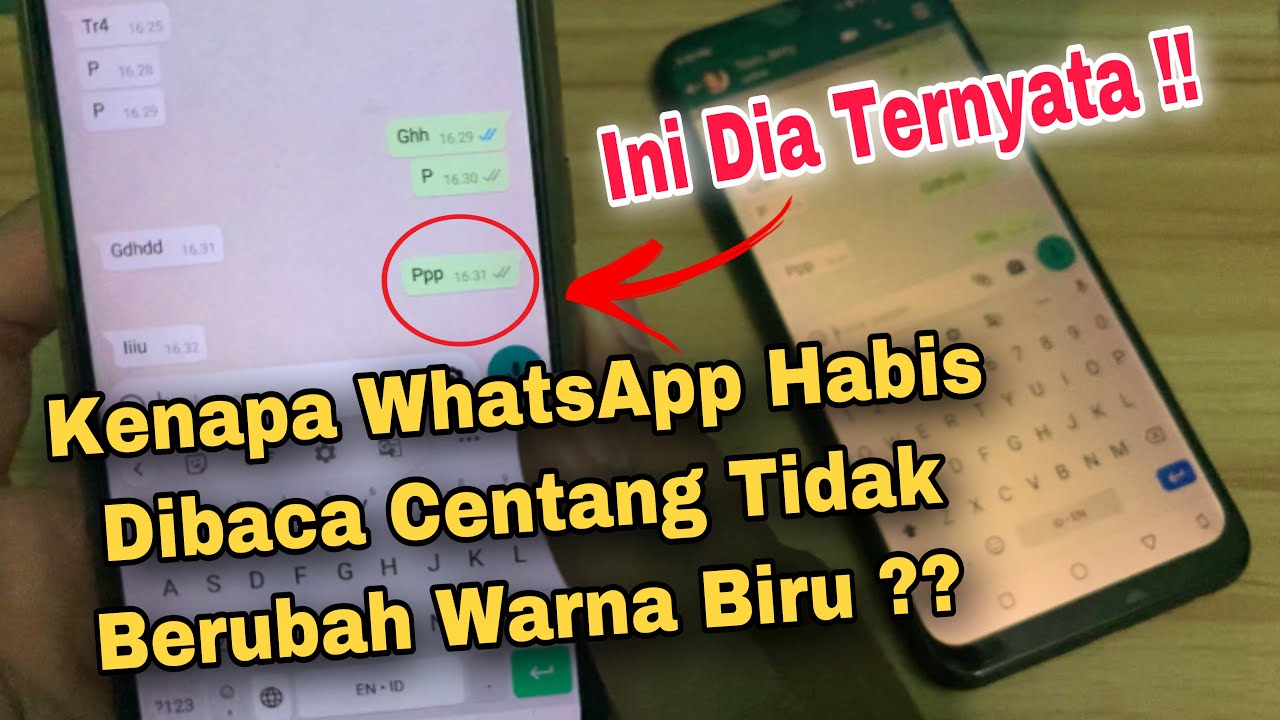 Kenapa WhatsApp Habis Dibaca Centang Tidak Berubah Warna Biru ? Ini Penyebabnya