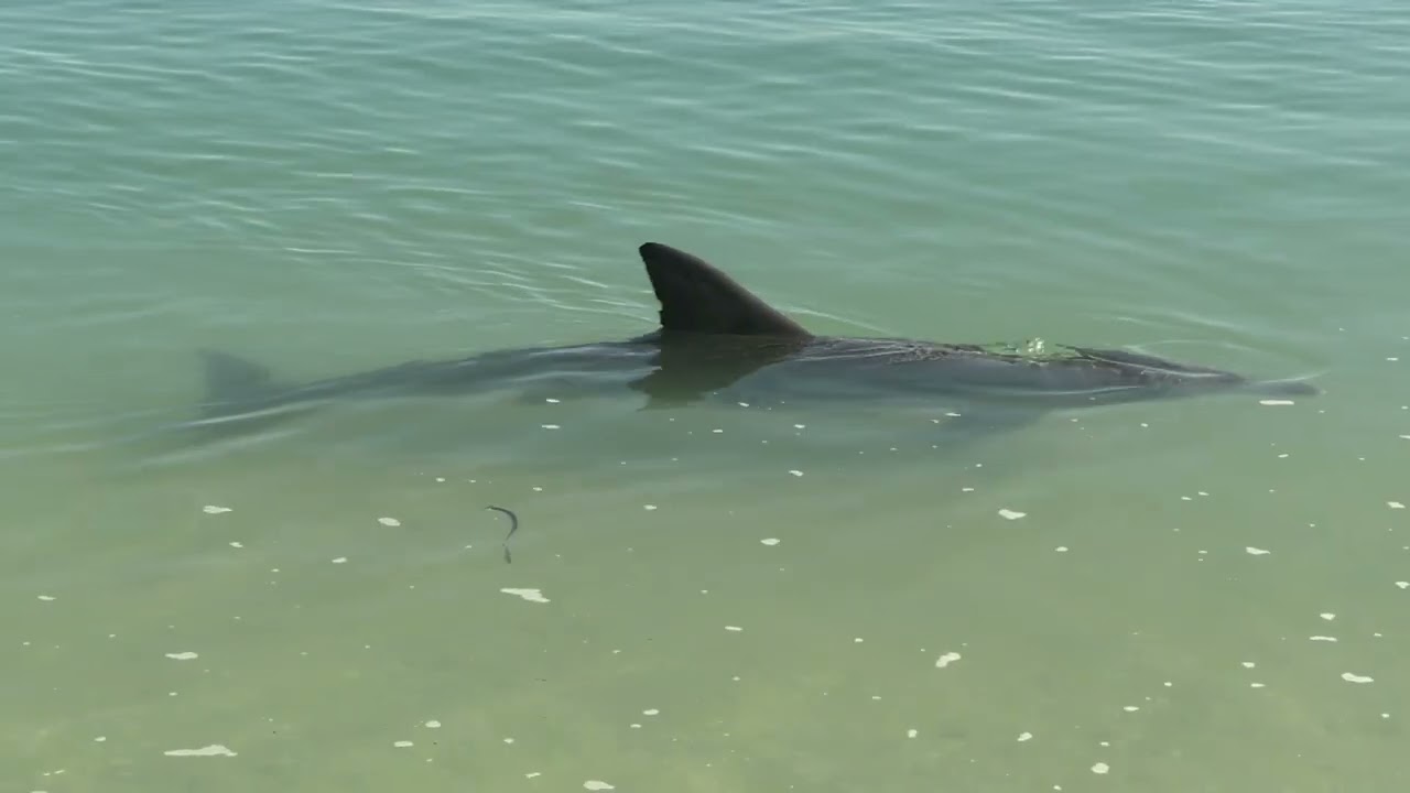 Western Australia December 2022 (HD)