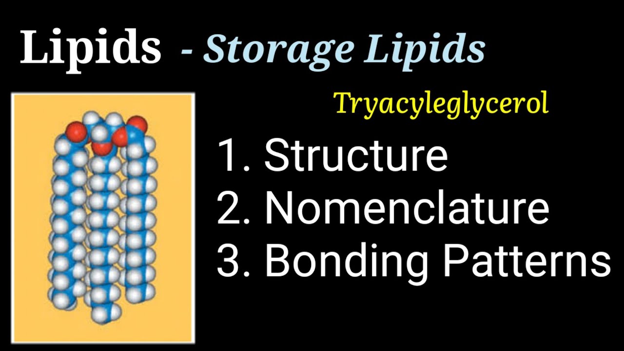 Lecture-10(PI) | Introduction to Lipid | Structural Lipid | Storage Lipid | Triacyleglycerol | TAG