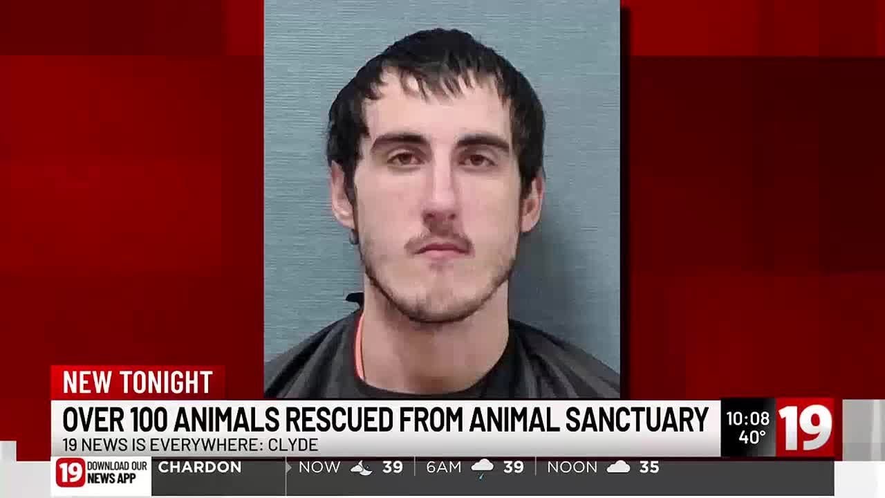 Canton man indicted for hanging his dog