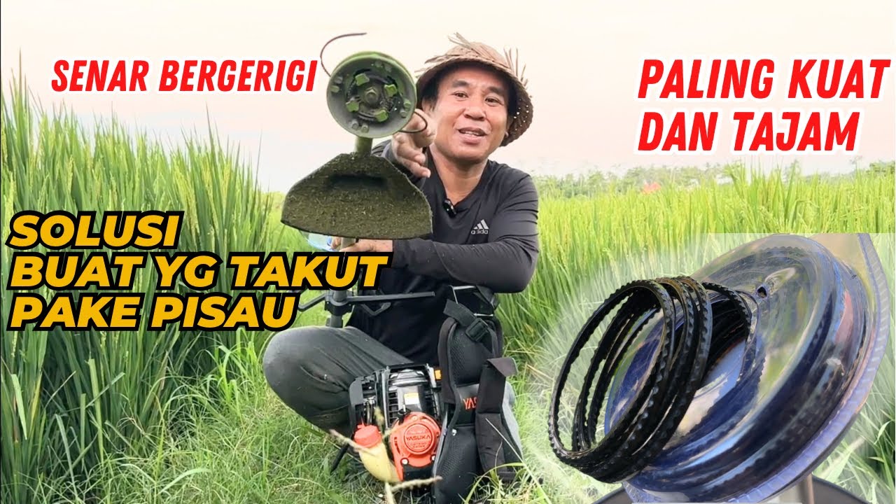 Full Review Senar Potong Rumput Bergerigi