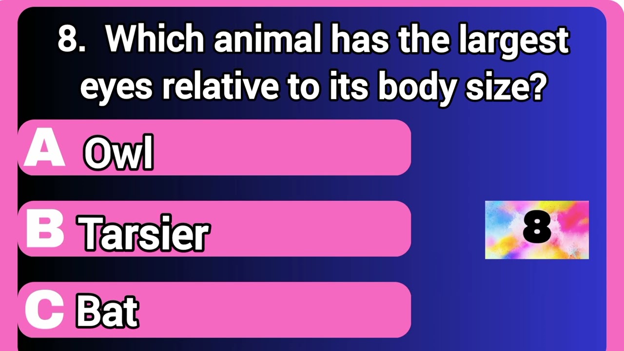 Test your knowledge of the wild creatures.