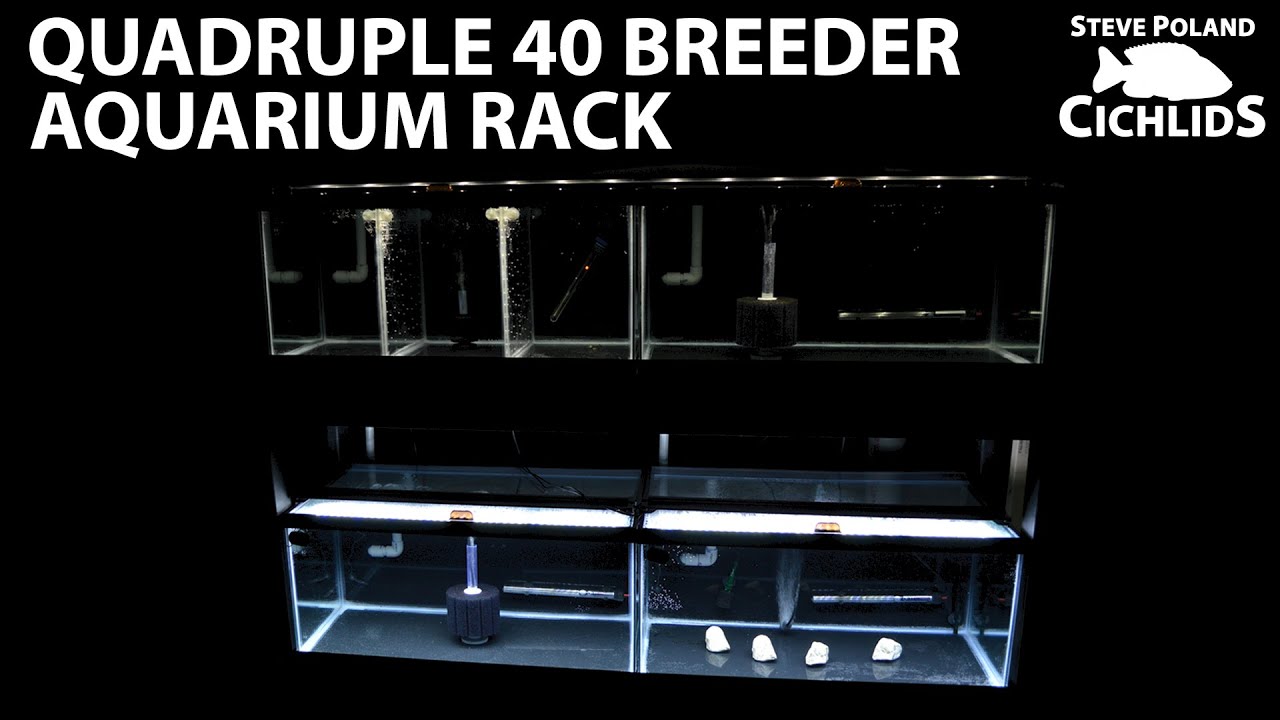 Quadruple 40 Breeder Aquarium Rack
