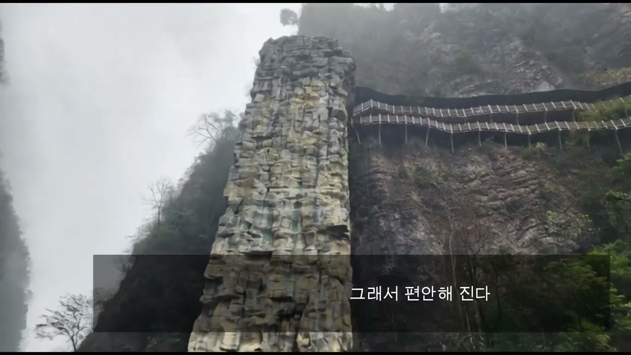 아무말없이 보고만 있어도 위로가 되는 여행