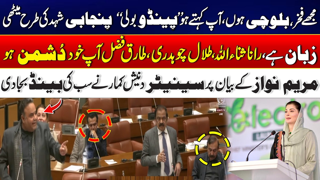 Senator Danesh Kumar’s Explosive Speech Targets Rana Sanaullah - Exclusive Video - 24 News HD