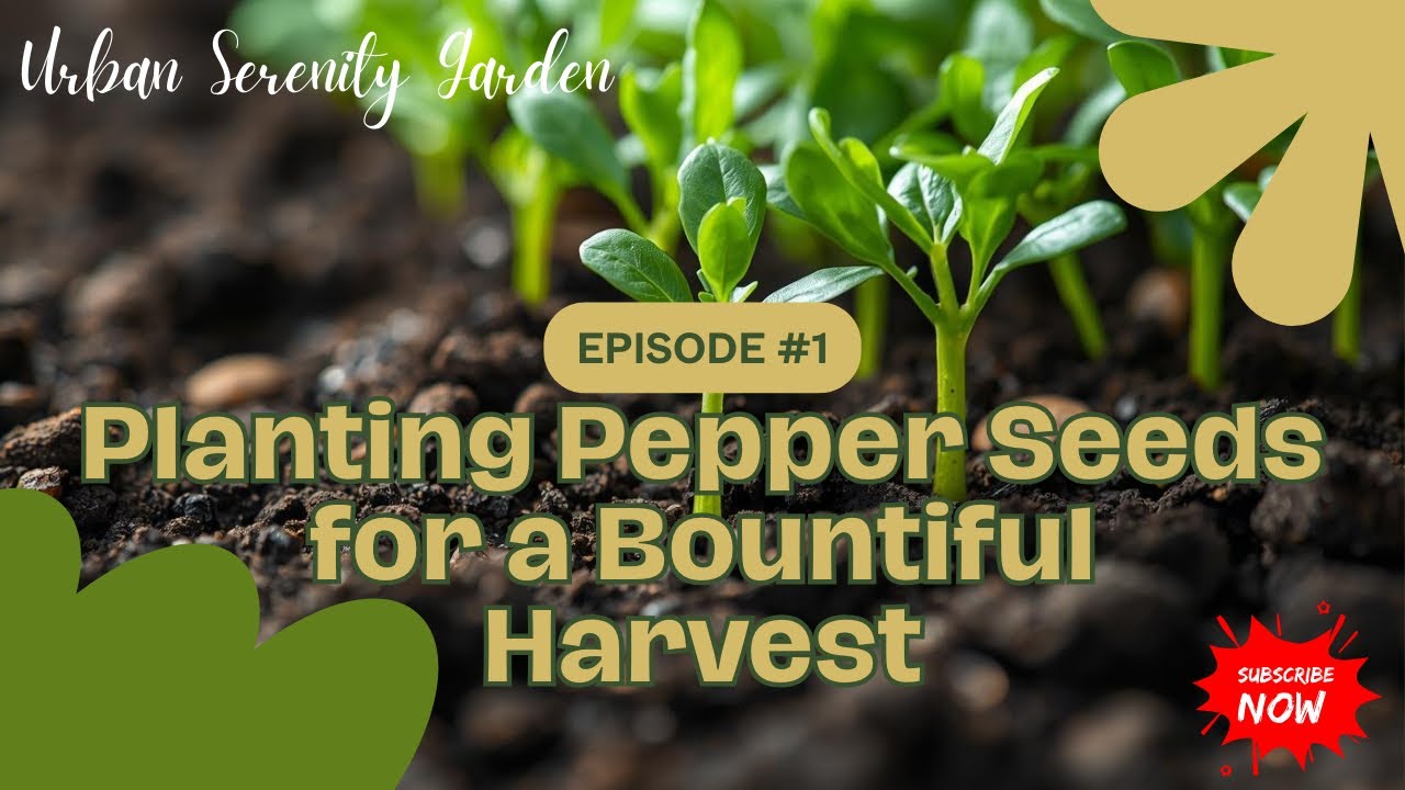 Seed starting peppers 2026